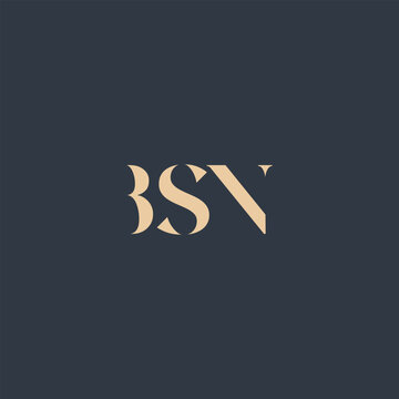 BSN abstract letter logo design. This logo is designed by three abstract letters.