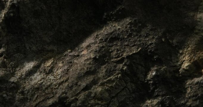 Dark Weathered Rock Surface with Shadows