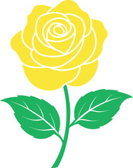 yellow rose isolated on white