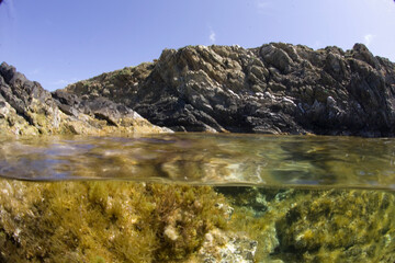 Fototapety na wymiar - Fototapeta24.pl