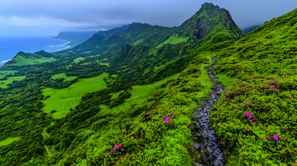 Fototapeta premium Lush green island mountain trail, ocean view, hiking path, floral scenery, travel photography