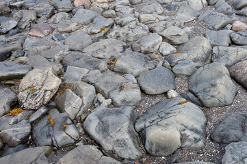 Close-up of smooth grey cobblestones on the seashore with remains of seaweed washed up by the tide