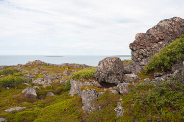 Arctic landscape, large stones on the shore of the Barents Sea. Rybachy peninsula, Murmansk region, Russia