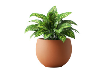 Indoor plant with vibrant green leaves in pot