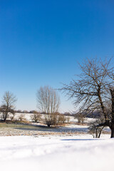 Winter nature in the village. Snow-covered nature. Blue Winter Sky