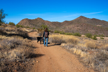 A woman walking her mountain dog in an Arizona park