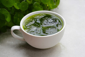 Herbal juice drink, Fresh green centella asiatica leaves or water pennywort plant or gotu kola.