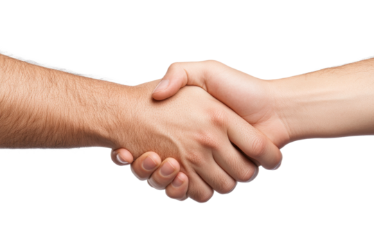 Professional handshake between two people
