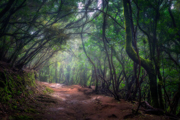Anaga, Tenerife