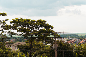 Obraz premium Paisagem com vista para um bairro