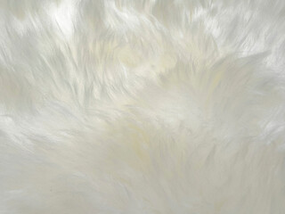 Soft White Fur Texture Close-Up
