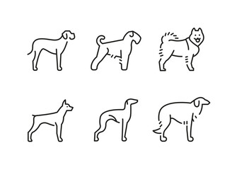 Dog icons. Set of 6 dog trendy minimal icons. Examples include dachshund, bulldog, poodle, husky icons. Design signs for web page, mobile app, packaging design. Vector illustration.