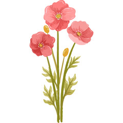 A cluster of poppy flowers showing various stages of bloom