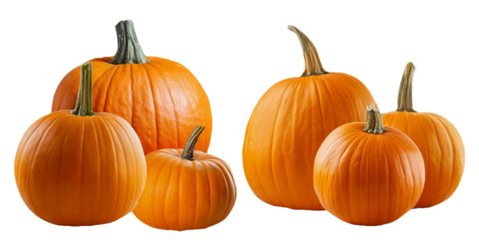 Group of fresh orange pumpkins isolated on transparent background