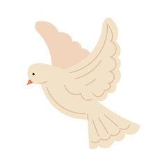 Isolated dove Symbol of peace