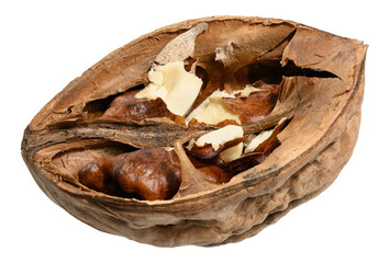 Half of walnut with fruits on isolated background