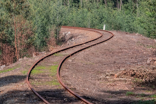railroad tracks in the countryside