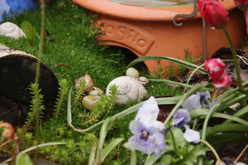 Fr&uuml;hlingsdeko im Garten