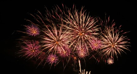 Fireworks Burst: A captivating display of radiant fireworks illuminating the night sky, offering a vibrant spectacle of color and celebration.