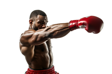Boxer practicing technique during training session