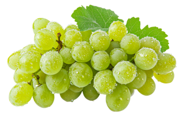 Fresh green grapes with water droplets on them