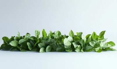 Freshly cut green mint leaves arranged on a clean surface, symbolizing natural freshness and vitality.