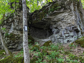 Rock strata and a cave in the forest on the Bruce Trail. A part of the Niagara Escarpment in...