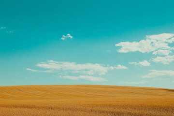 Fototapeta premium A vast sunflower field under a bright blue sky, stretching endlessly towards the horizon in golden waves.
