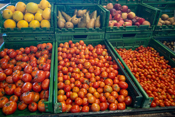 Fresh ripe organic red Canarian tomatoes vegetables on farmers market on Tenerife, Canary islands, Spain, local grown farmers products
