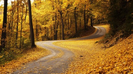 Obraz premium Autumn road