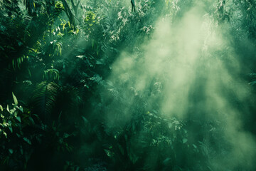 Obraz premium A lush green rainforest with mist rising from the underbrush, and light filtering through the dense canopy, creating a peaceful, dreamlike atmosphere.