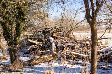 Fototapete bei efototapeten.de bestellen   