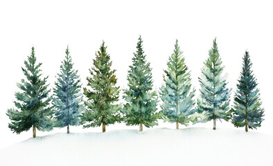 Obraz premium Serene Winter Landscape with a Row of Evergreen Pine Trees Adorned with Snow, Isolated on Transparent and White Background