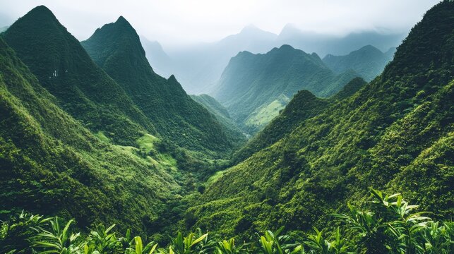 A lush green valley nestled between two towering mountain ranges, open sky providing copy space.