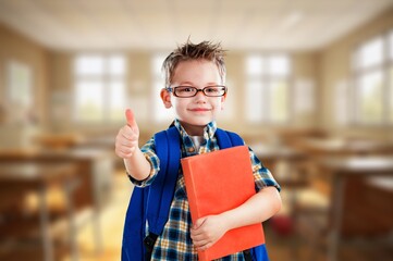 Portrait of cute schoolkid on class background