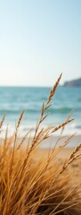 Golden Wheatgrass on Sandy Beach with Blue Sea Horizon. Serene Coastal Scene