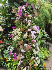 flowers in the garden