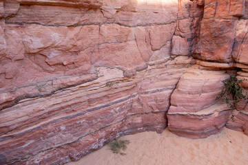 Explore the unique geological formations of Tsvetnoy Canyon in Egypt during midday sunlight