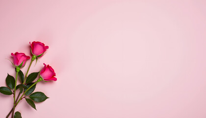 Fototapeta premium Rosas rosas sobre un fondo rosa suave con espacio en blanco. Plantilla de tarjeta para felicitar por el 8 de marzo, el Día de la Madre u otras festividades con espacio vacío para texto