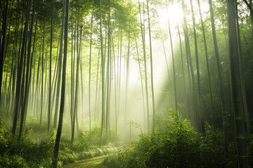 A tranquil bamboo grove, where a gentle mist rolls over the ground, and soft sunlight filters through tall green stalks.