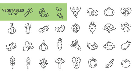 Vegetables icons. Set of 31 vegetable trendy minimal icons. Example: Celery, Mushroom, Tomato, Carrot, Pepper icon. Design signs for web page, mobile app, packaging design. Vector illustration