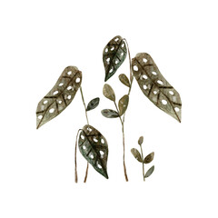 Set of simple green leaves in earthy colors. Watercolor and pencil hand drawn isolated illustrations. Clipart botanical elements