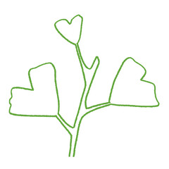 cute green ginkgo biloba leaves doodle hand drawn line art illustration