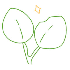 cute green round leaves doodle hand drawn line art illustration