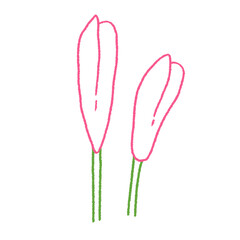 cute pink tulips buds flower doodle hand drawn line art illustration