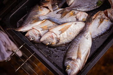 fresh fish on the grill