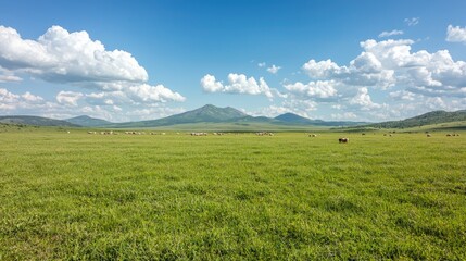 Fototapeta premium Grazing animals on green plains under blue sky, mountains background, nature landscape for travel brochure
