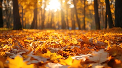 Autumn forest with golden leaves covering the ground, warm sunlight, and room for text overlay.