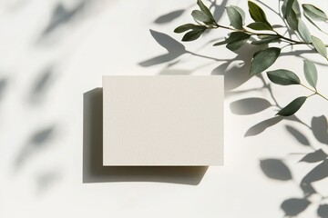 Blank business cards on white background with leaves casting shadows for design mockup and print purposes