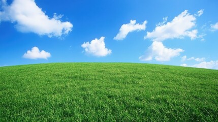 Breathtaking view of a rolling prairie, vibrant green grass stretching for miles.